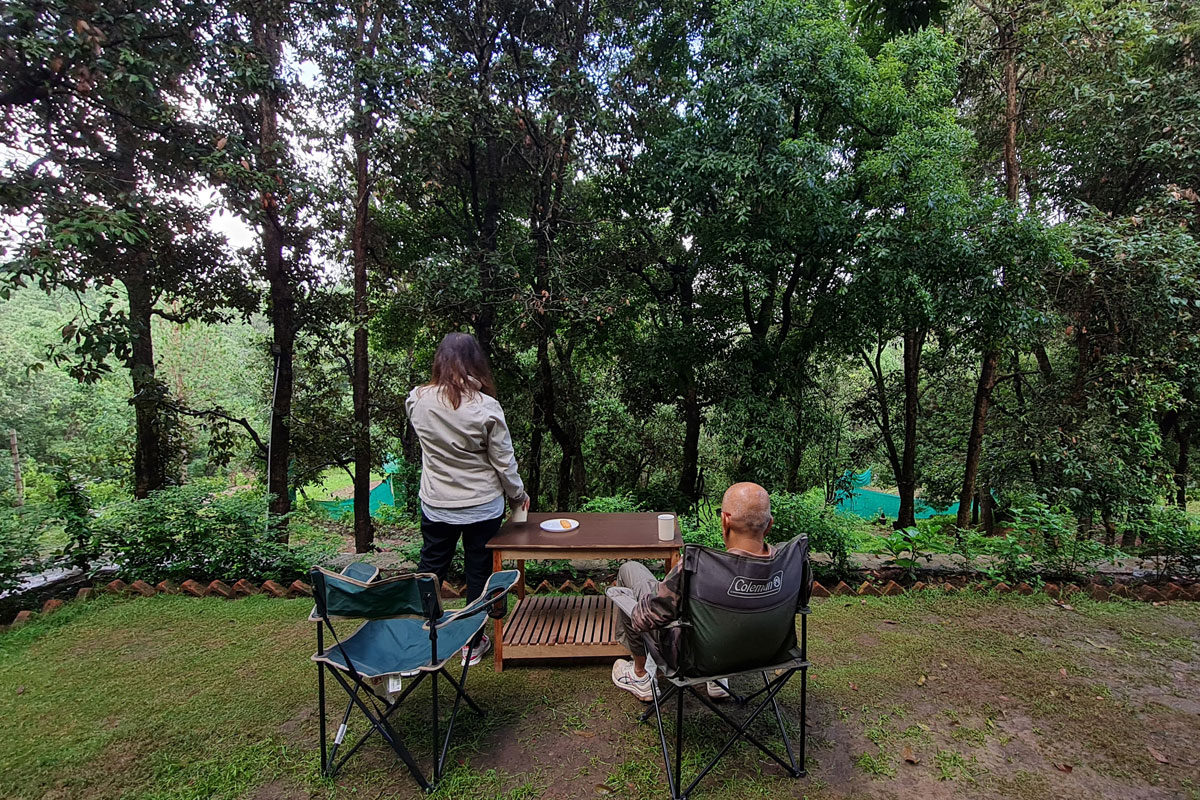 forest-view-of-the-property