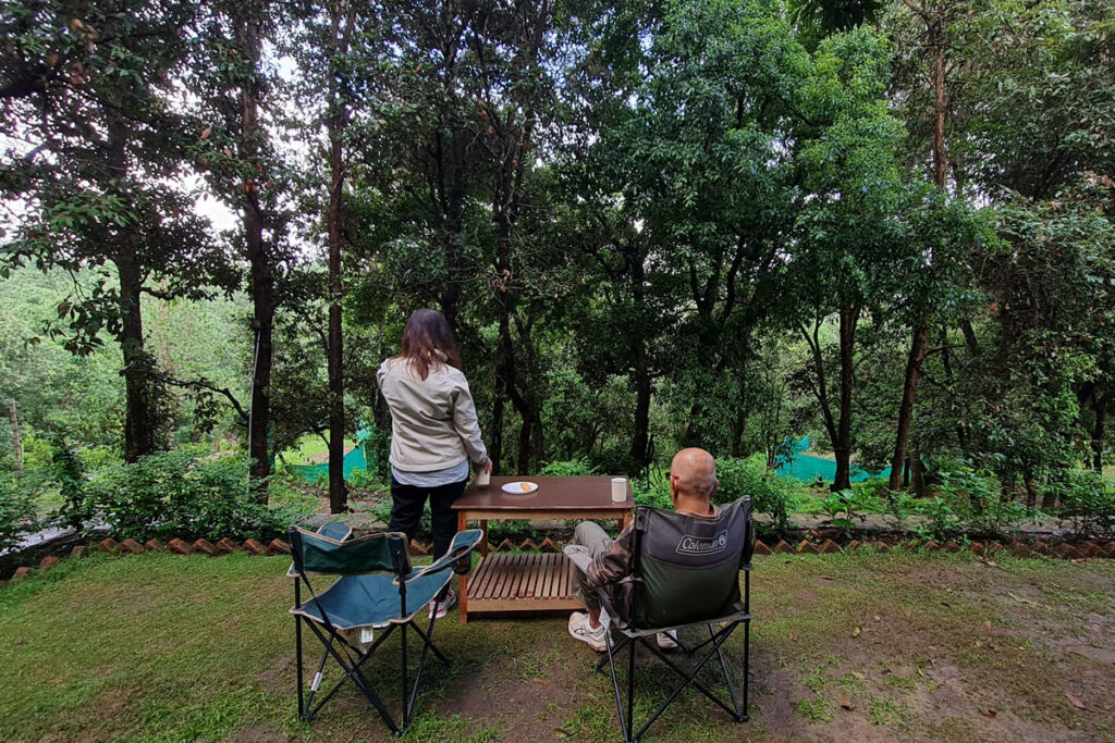 forest-view-of-the-property