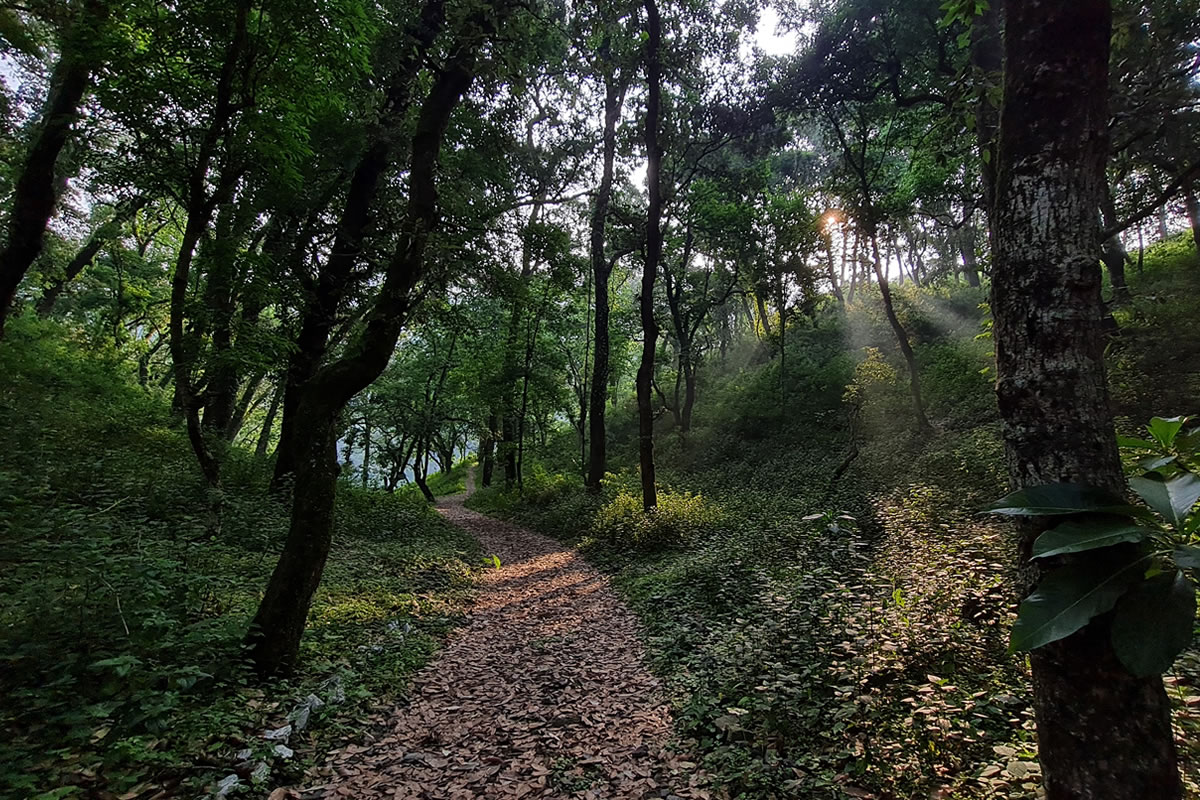 nature-walk-6