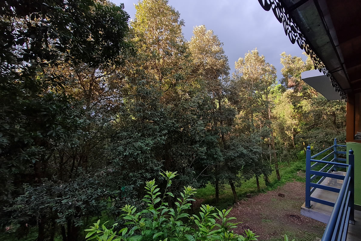 nature-walk-8